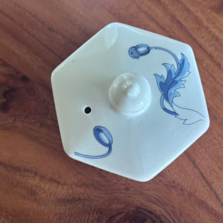 Blue & White 'Toscany' Floral Teapot