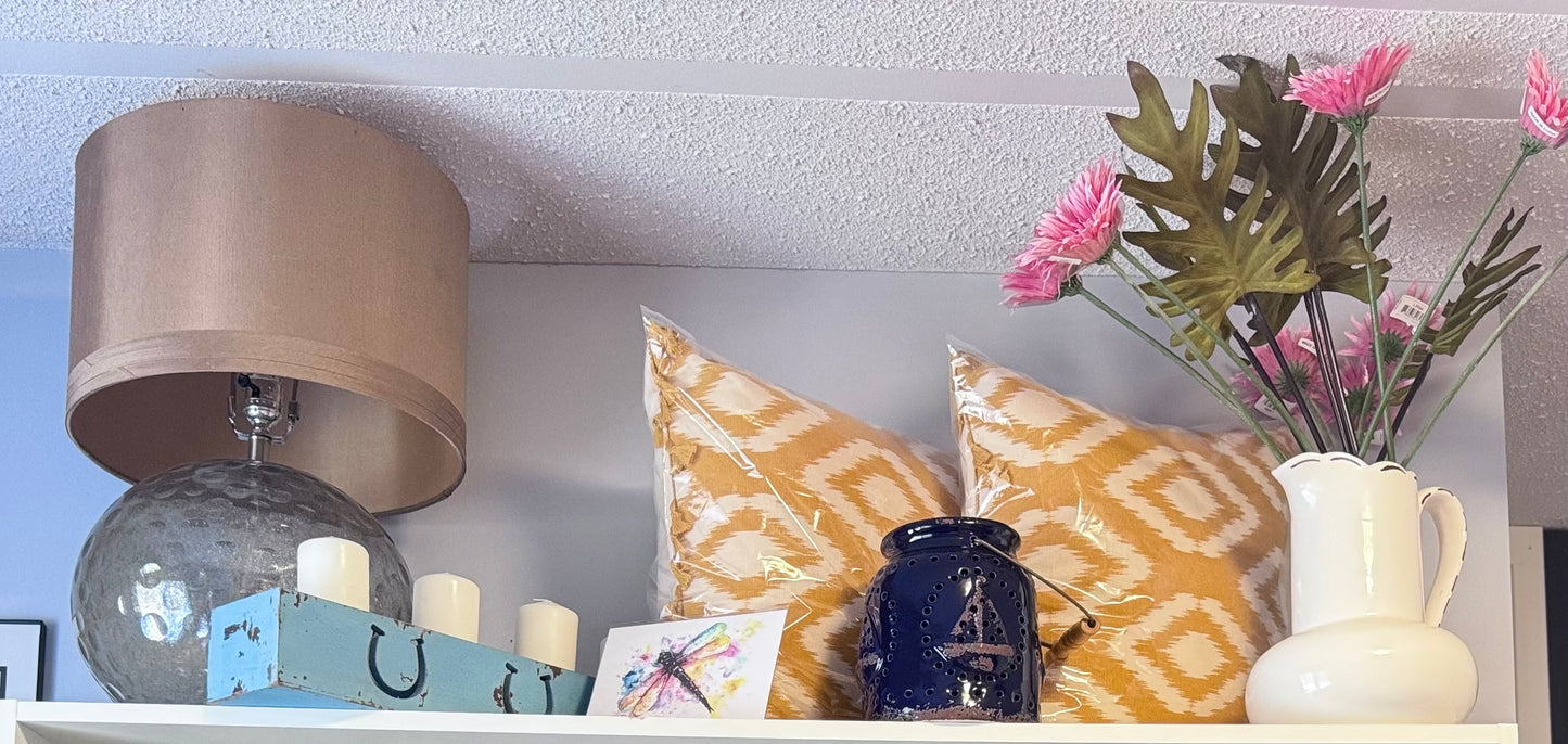 Fringed Cushion