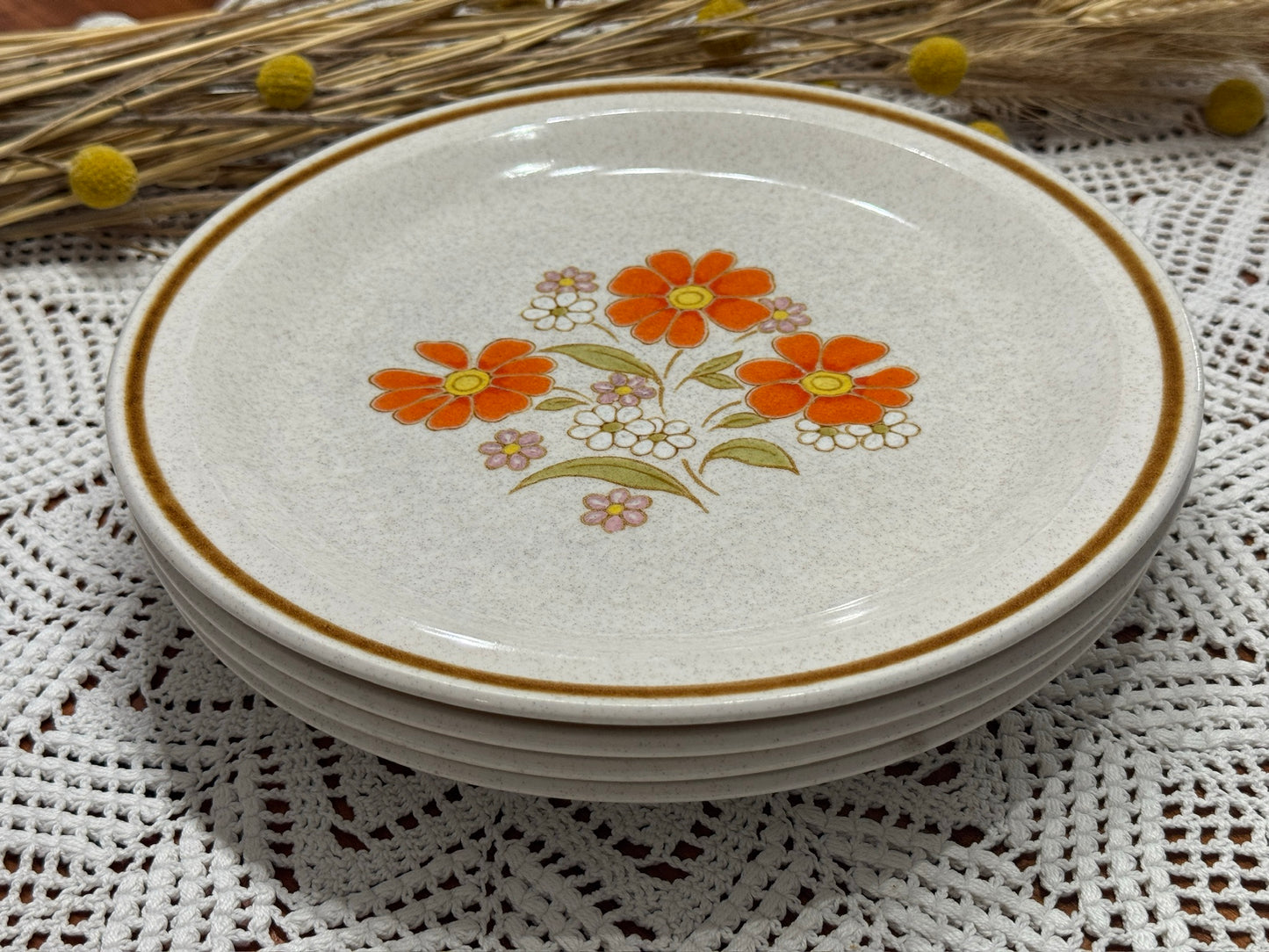 COLORSTONE Japan Dinner Plates