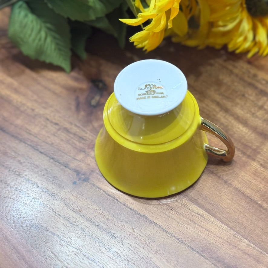 Gladstone England Yellow/Gold Teacup & Saucer Set