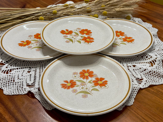 COLORSTONE Japan Dinner Plates