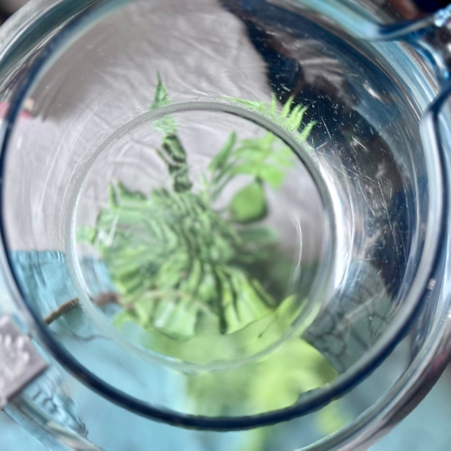 Pyrex Tea Pot