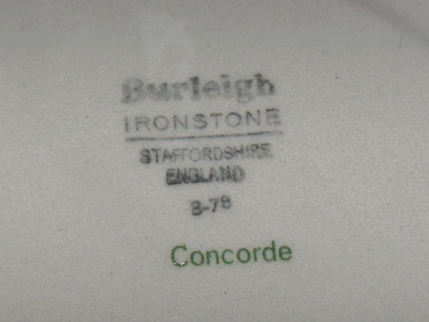 Burleigh 'Concorde' Dinner Plates