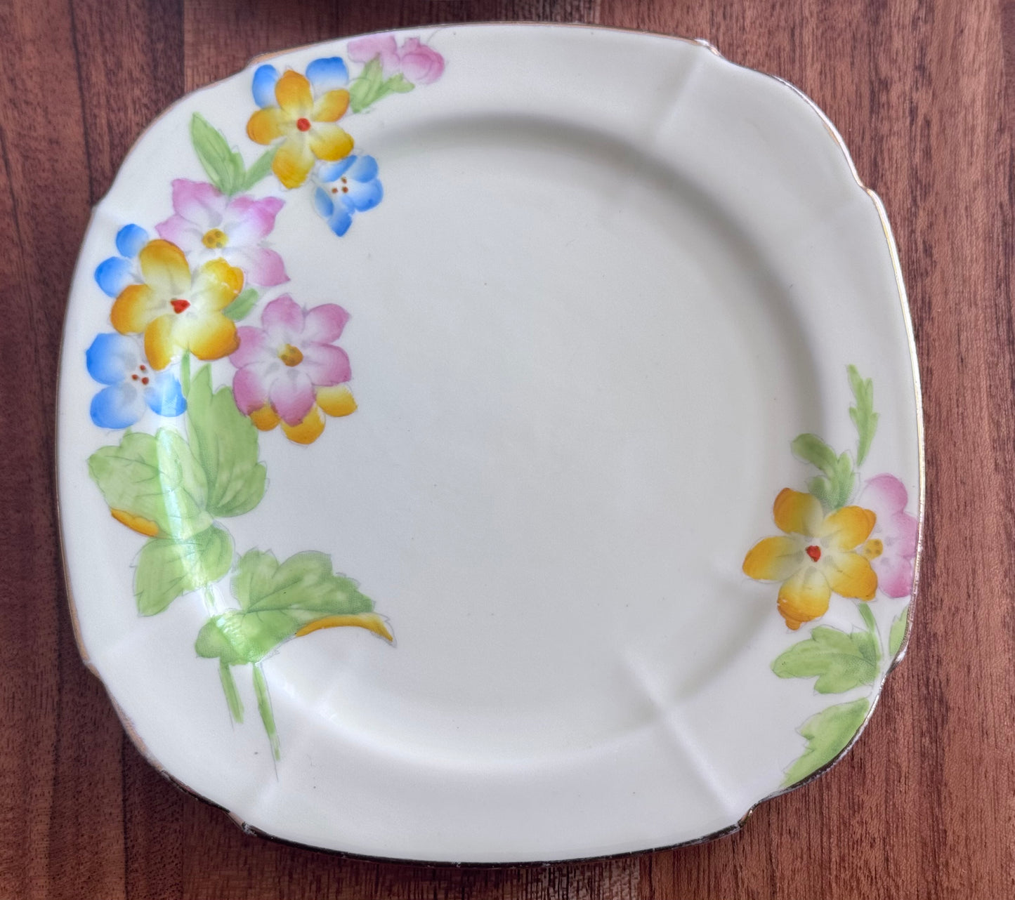 Paragon 'Saxifrage' Hand Painted Plates