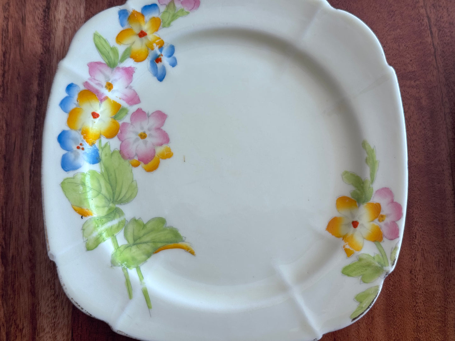Paragon 'Saxifrage' Hand Painted Plates