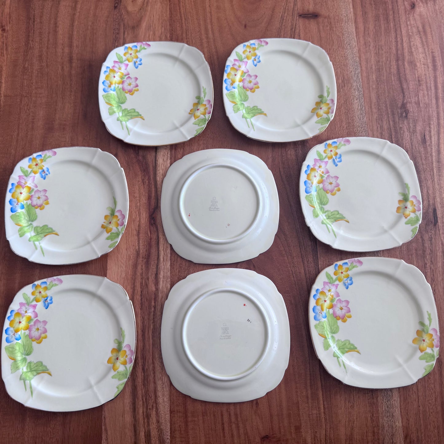 Paragon 'Saxifrage' Hand Painted Plates