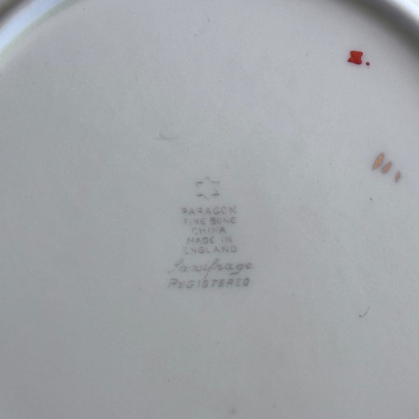 Paragon 'Saxifrage' Hand Painted Plates