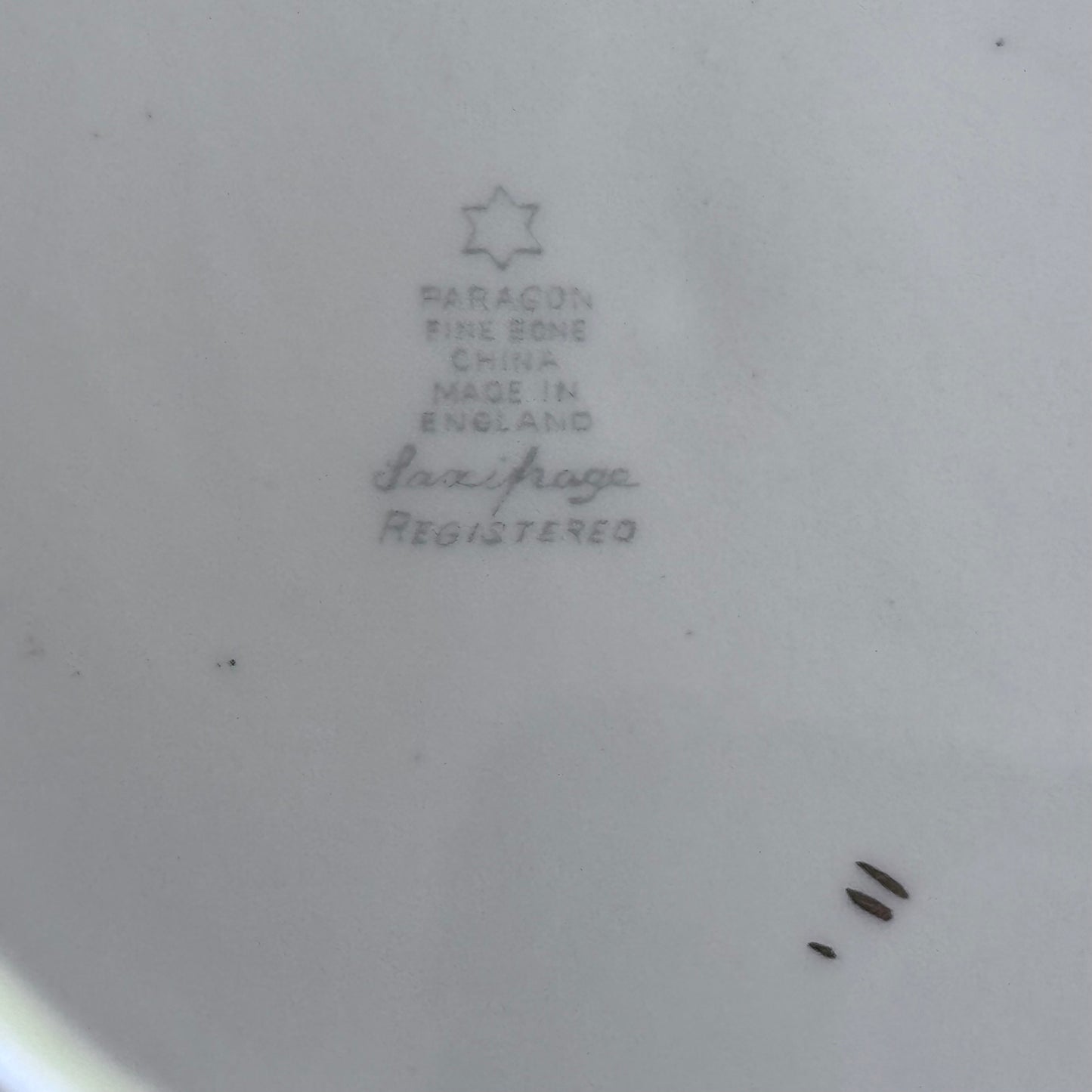 Paragon 'Saxifrage' Hand Painted Plates