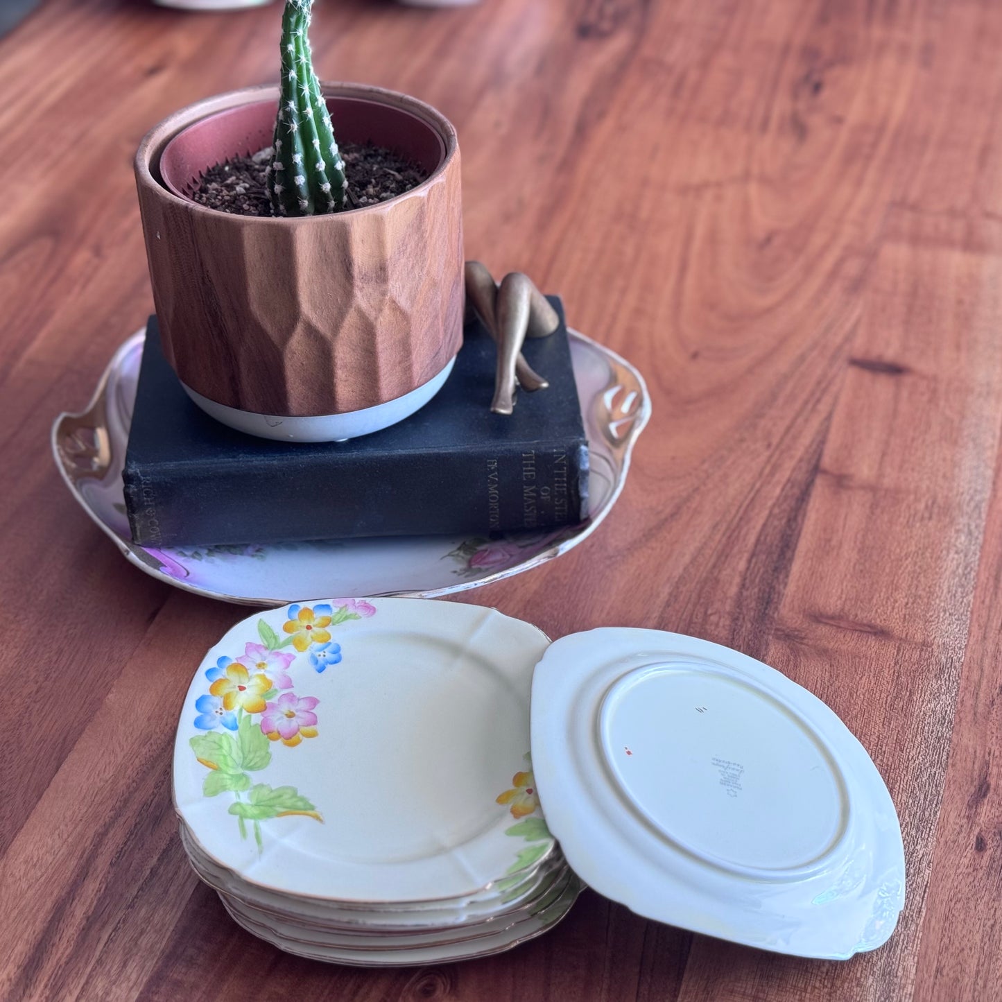 Paragon 'Saxifrage' Hand Painted Plates