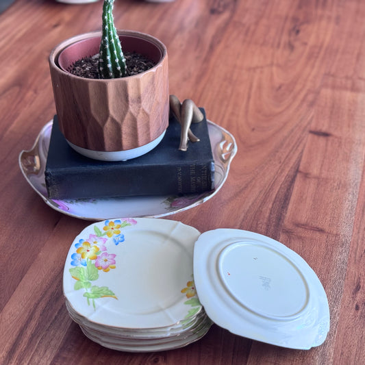 Paragon 'Saxifrage' Hand Painted Plates