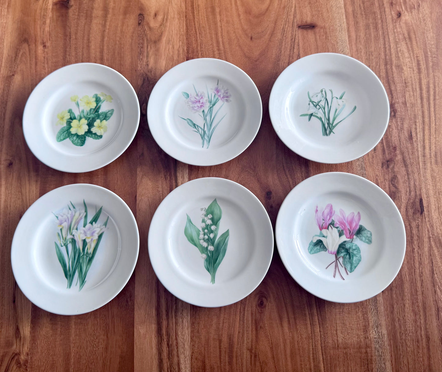 Copelands China England Botanical / Floral Plates