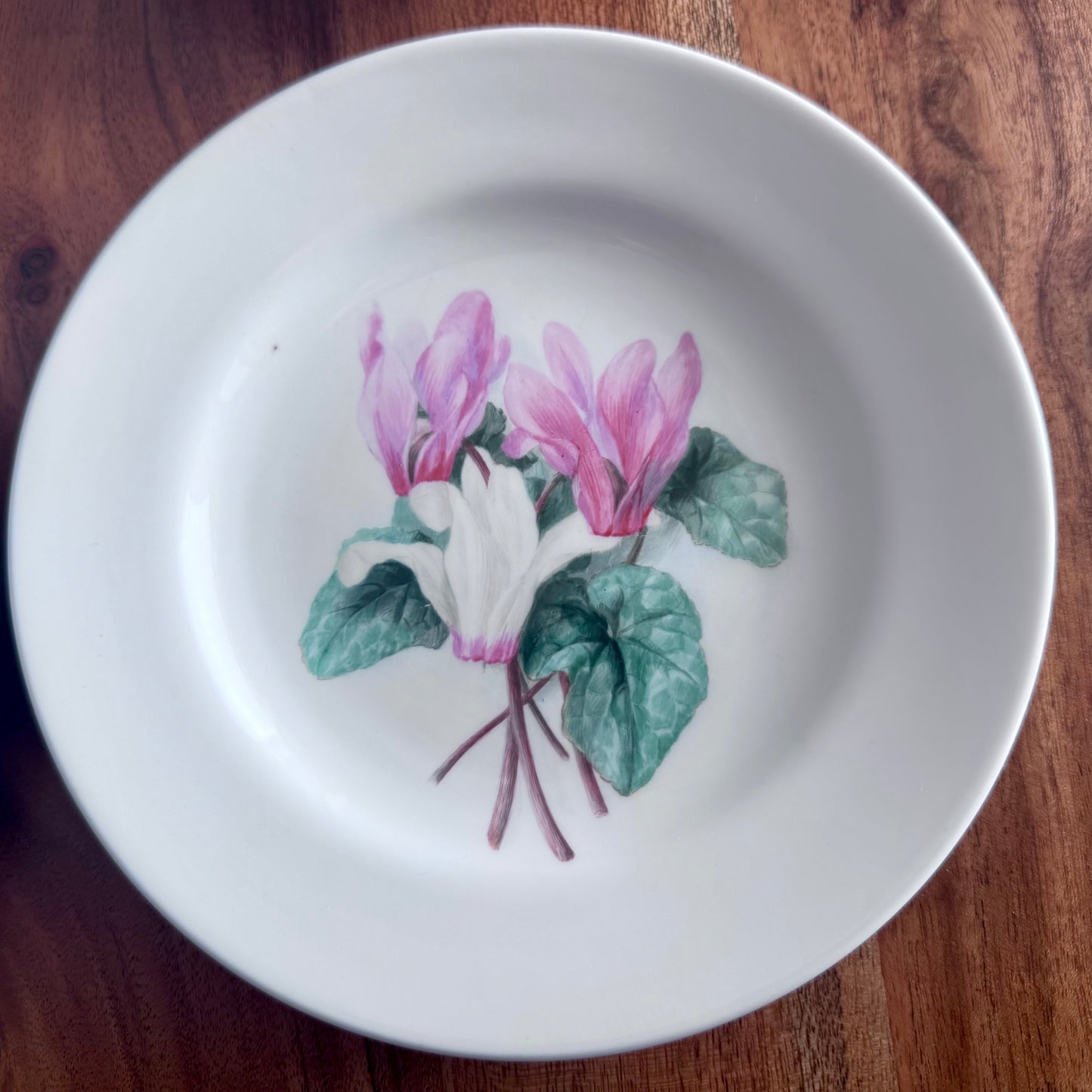 Copelands China England Botanical / Floral Plates