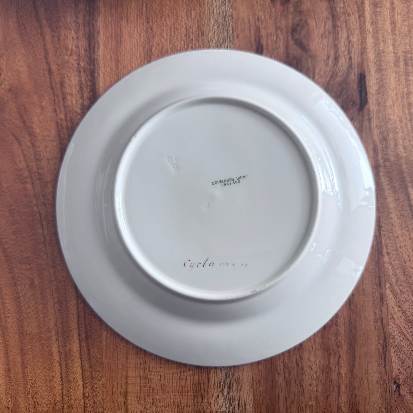 Copelands China England Botanical / Floral Plates