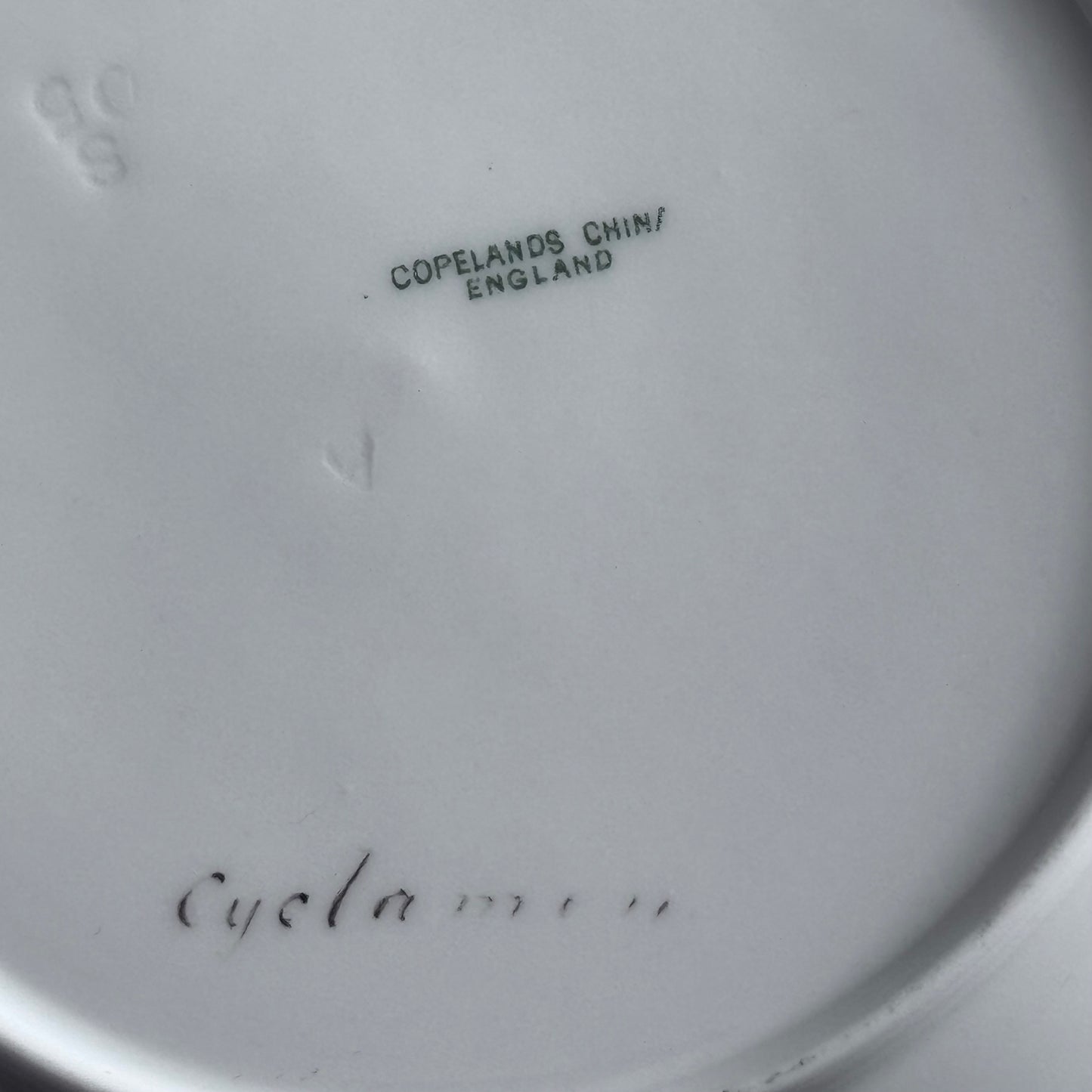Copelands China England Botanical / Floral Plates