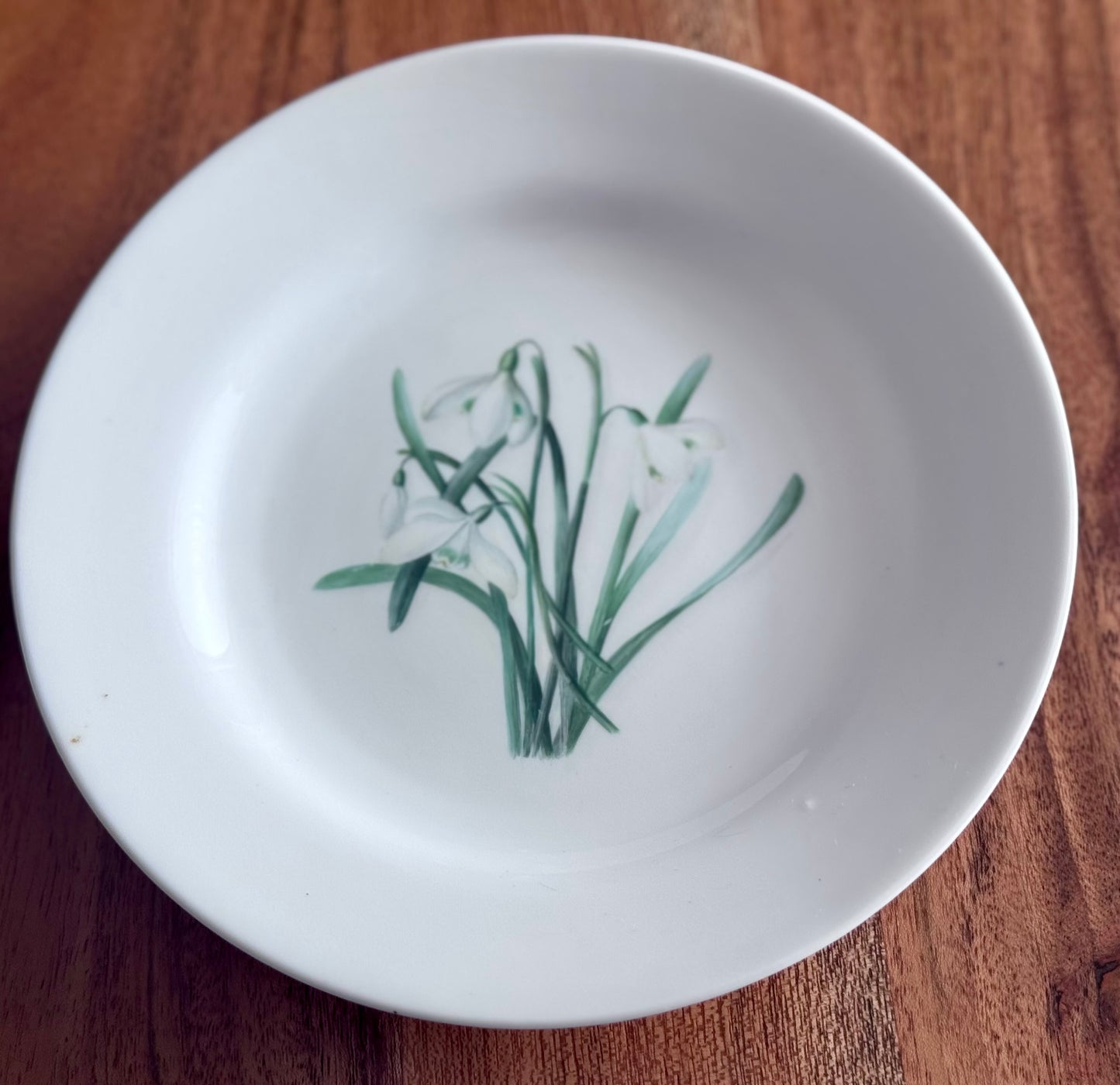 Copelands China England Botanical / Floral Plates