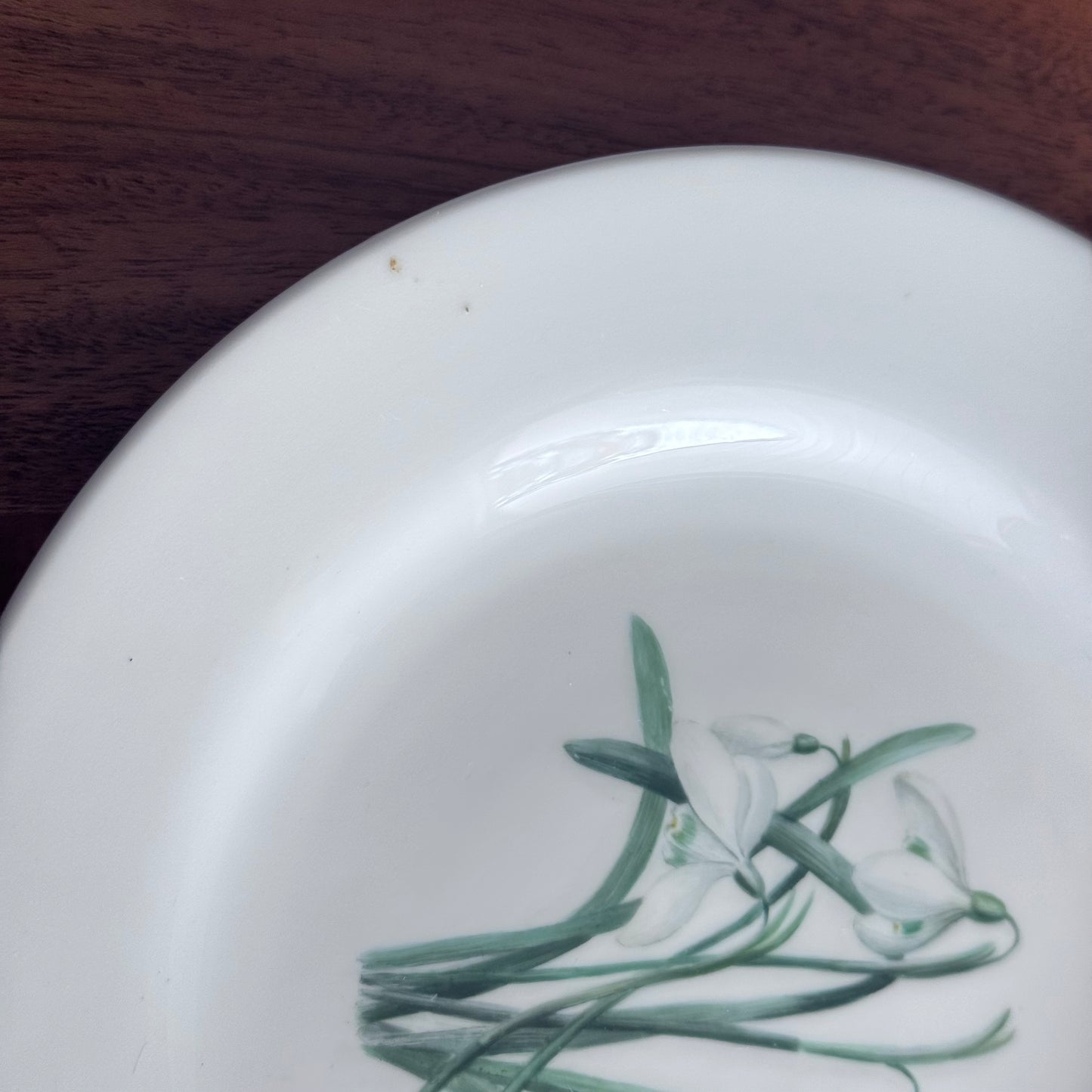 Copelands China England Botanical / Floral Plates