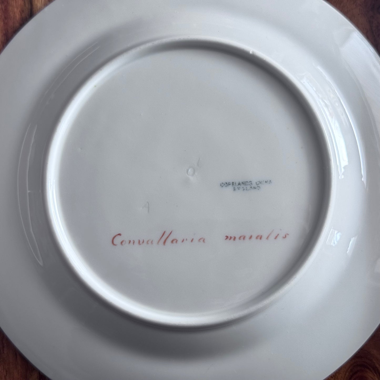Copelands China England Botanical / Floral Plates