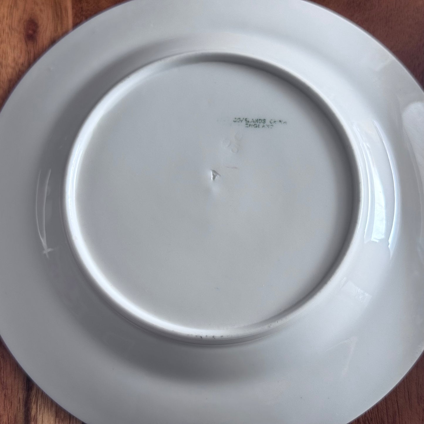 Copelands China England Botanical / Floral Plates