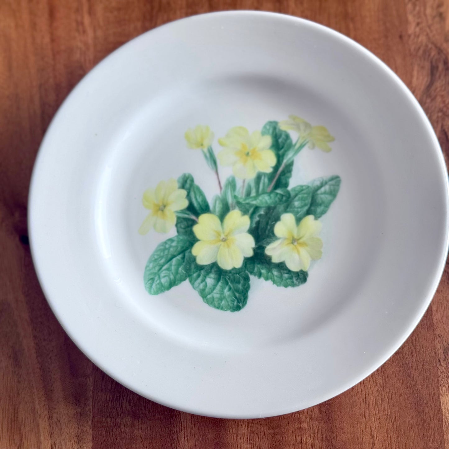 Copelands China England Botanical / Floral Plates