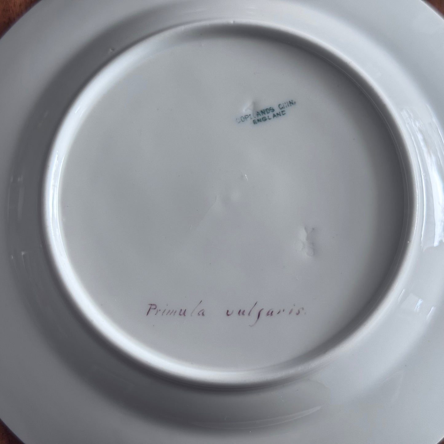 Copelands China England Botanical / Floral Plates