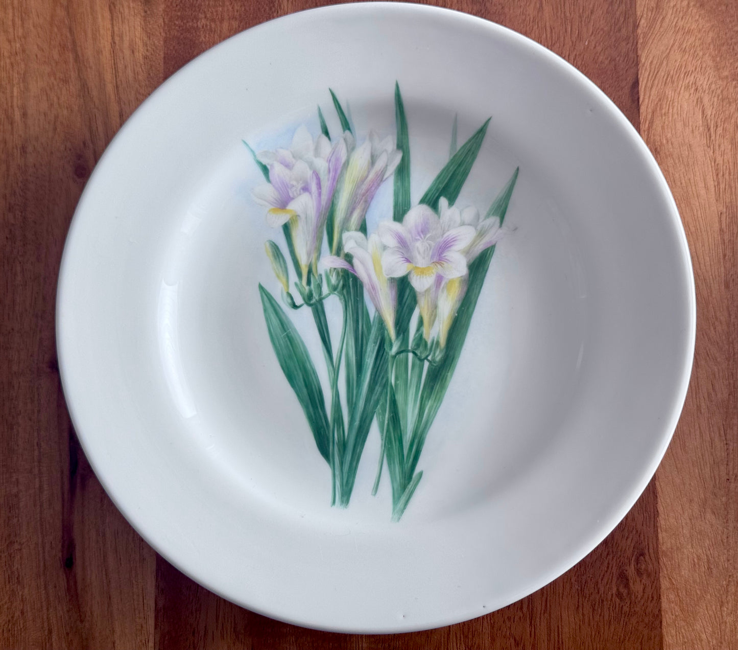 Copelands China England Botanical / Floral Plates