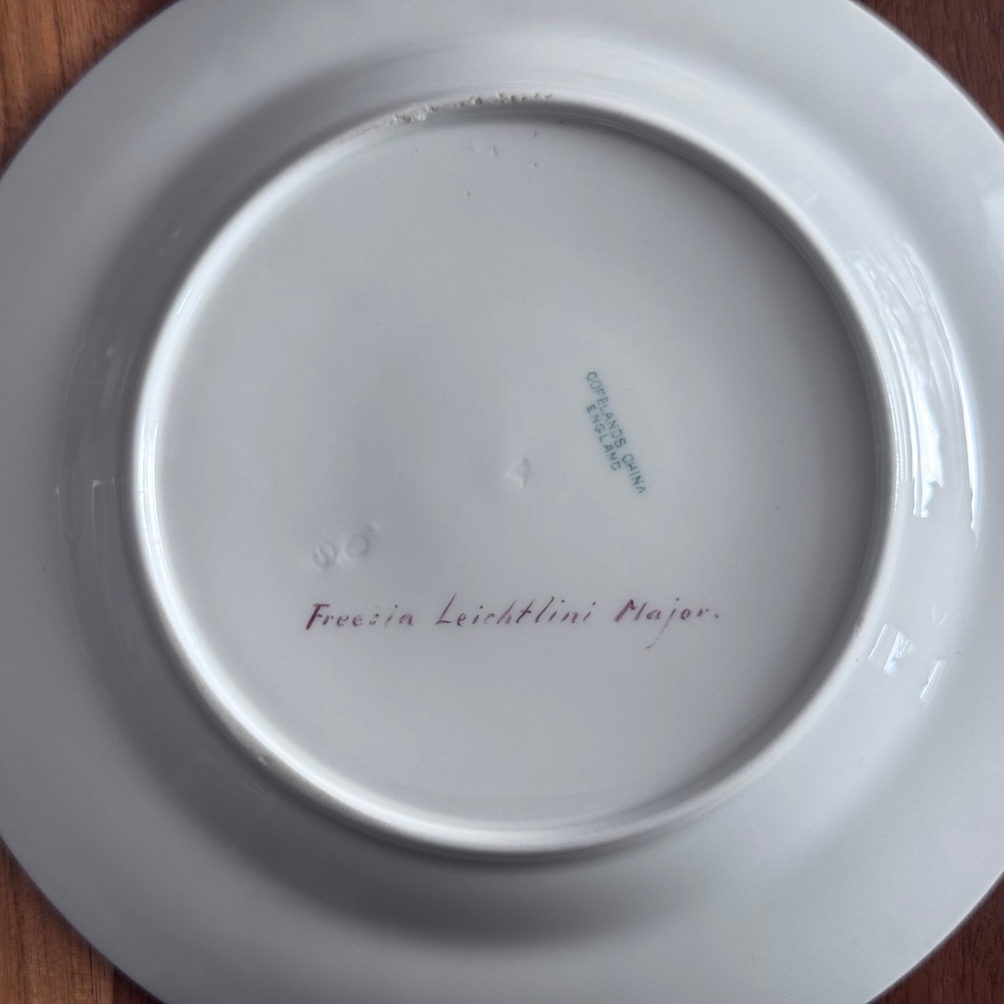 Copelands China England Botanical / Floral Plates