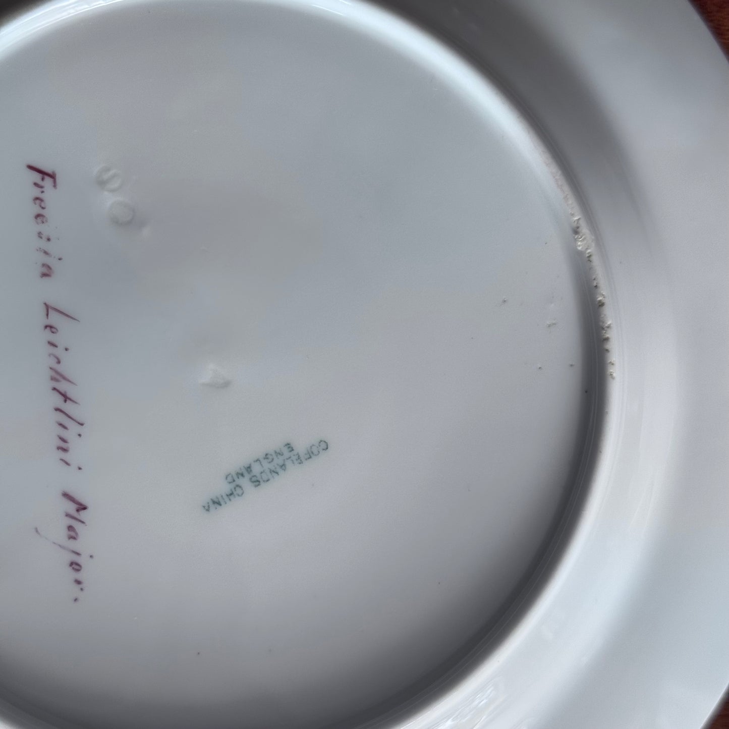Copelands China England Botanical / Floral Plates