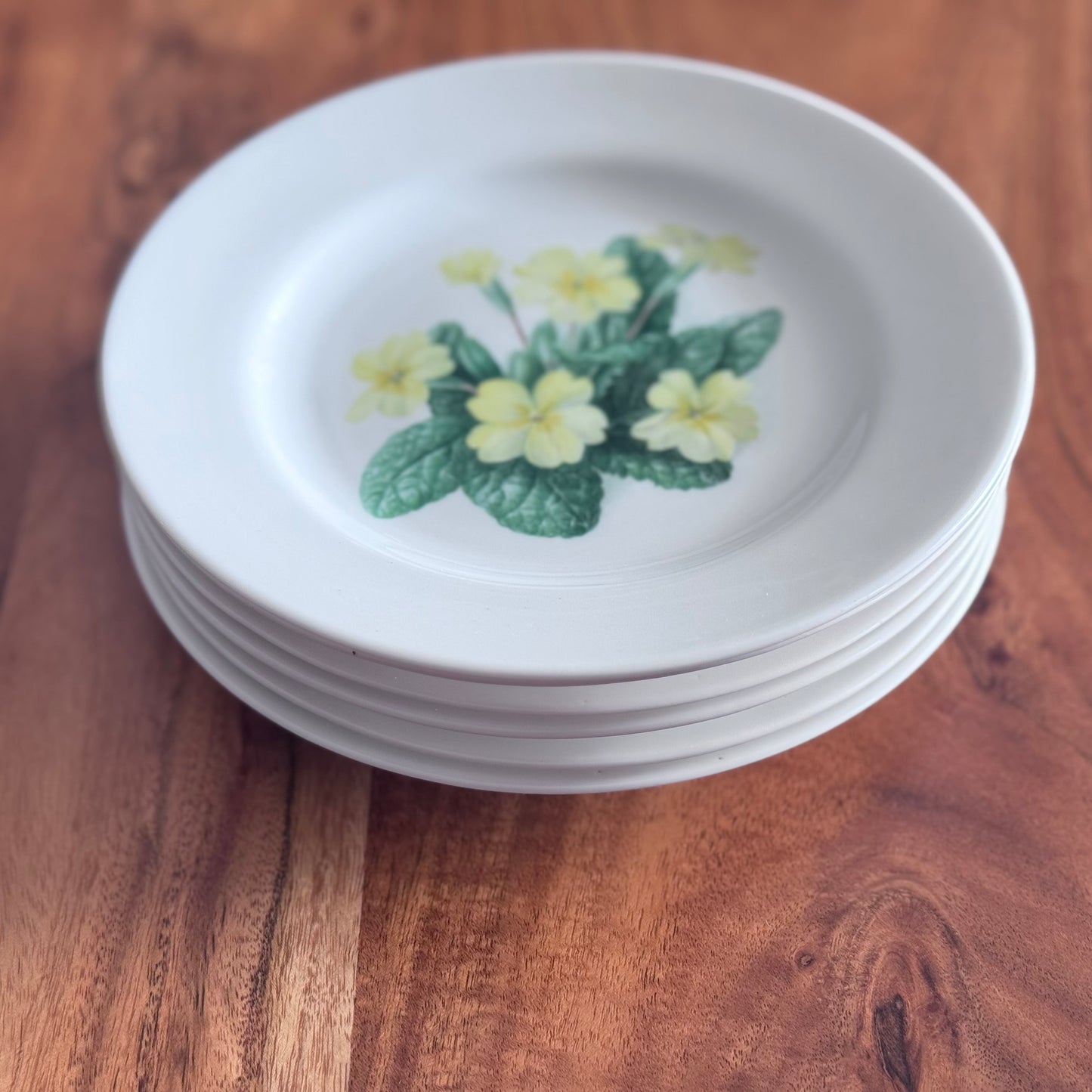 Copelands China England Botanical / Floral Plates