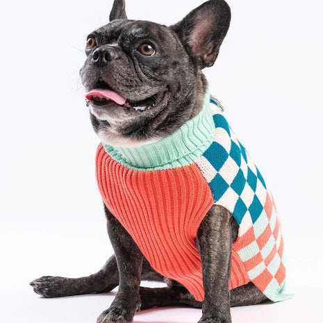 XL Dog Sweater