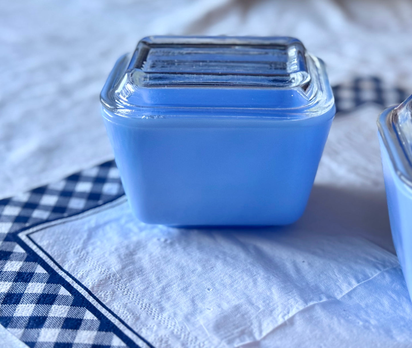 Blue Delphite Fridgie with Clear Lid