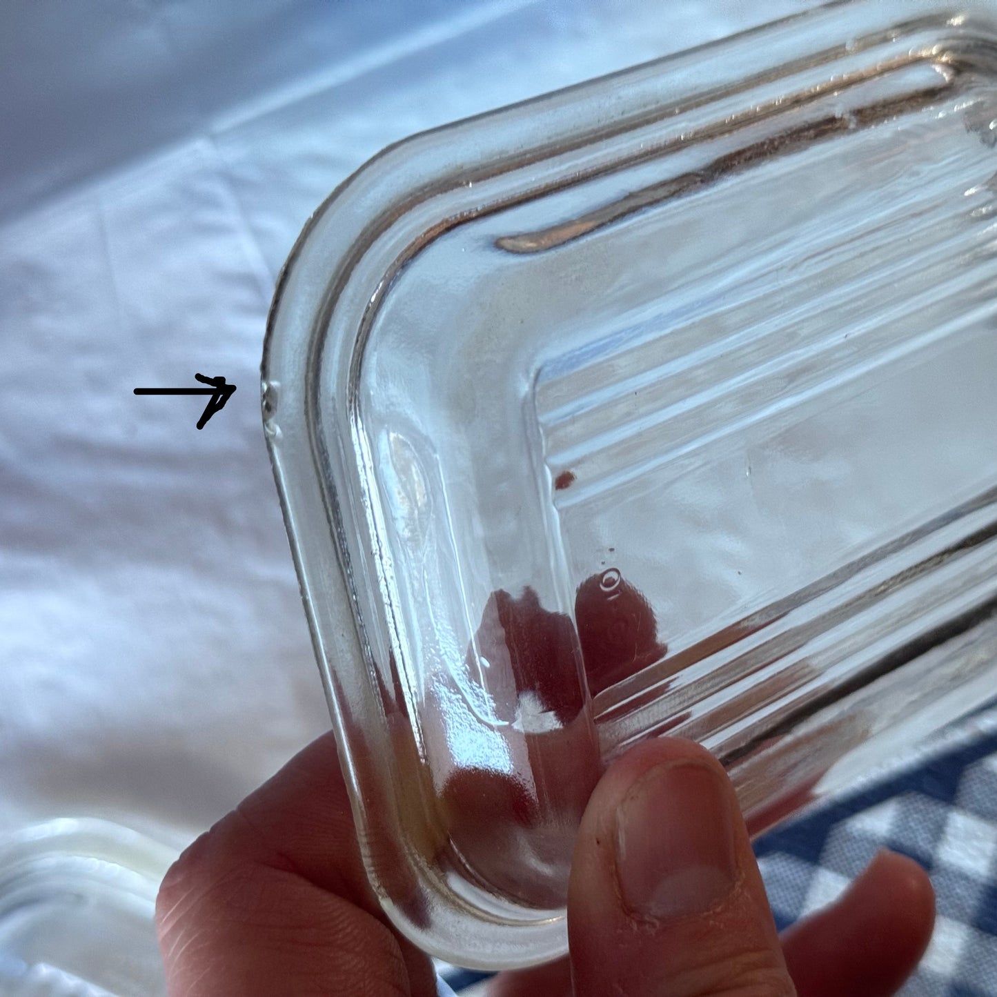 Blue Delphite Fridgie with Clear Lid