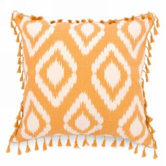 Fringed Cushion